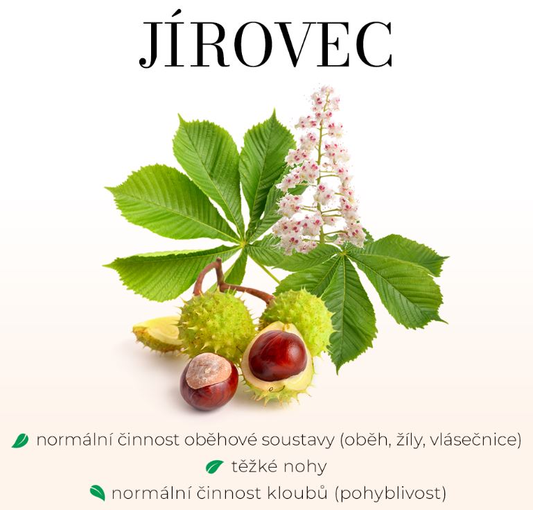 ARTROREGEN PREMIUM - KLOUBNÍ VÝŽIVA, Bylinné sirupy, briv