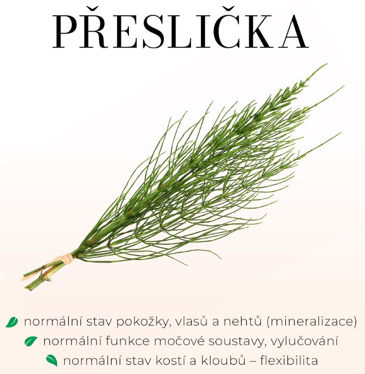 ARTROREGEN PREMIUM - KLOUBNÍ VÝŽIVA, Bylinné sirupy, briv